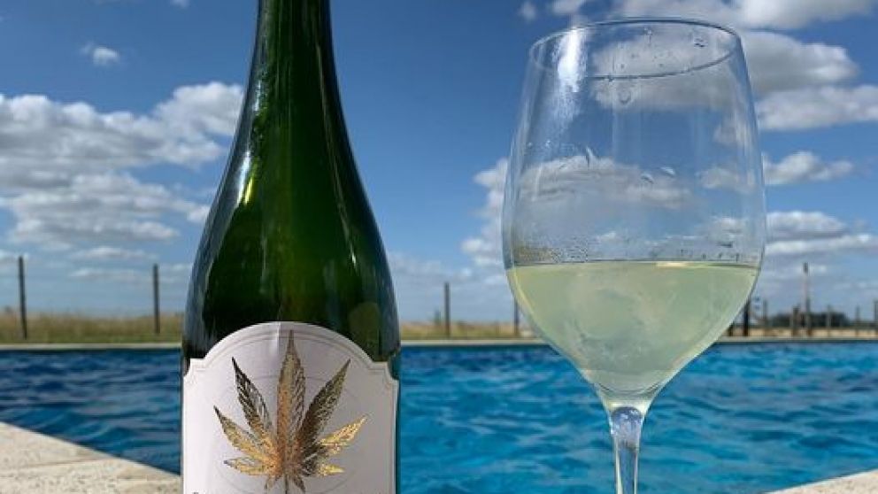 El caso Champanabis sigue movilizando al sector vitivinícola mendocino