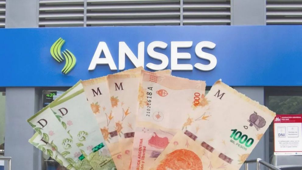 AUH febrero 2021: la información de anses.gob.ar