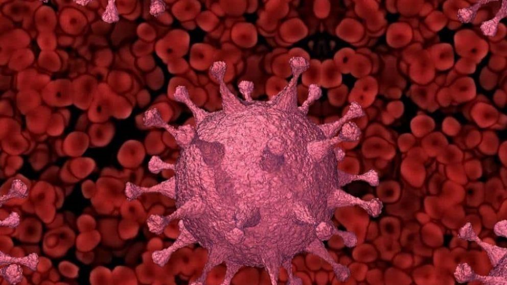 La nueva variante presenta modificaciones en la prote�na de espiga que se encuentra en la superficie del virus 