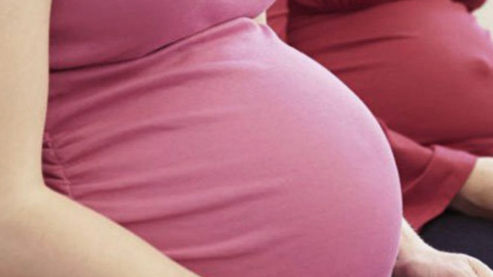 El Plan de los 1000 días fue sancionado por el Congreso el 30 de diciembre, junto con el aborto legal