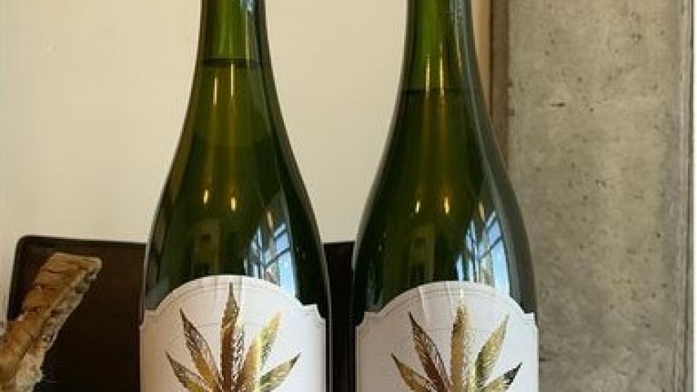 Champanabis la bodega online que lo vendía se esfumó