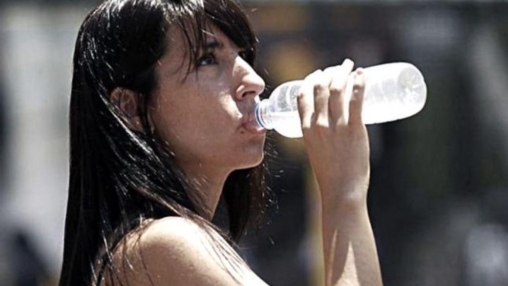 Ola de calor: siete recomendaciones para cuidarnos y cómo proteger a las mascotas