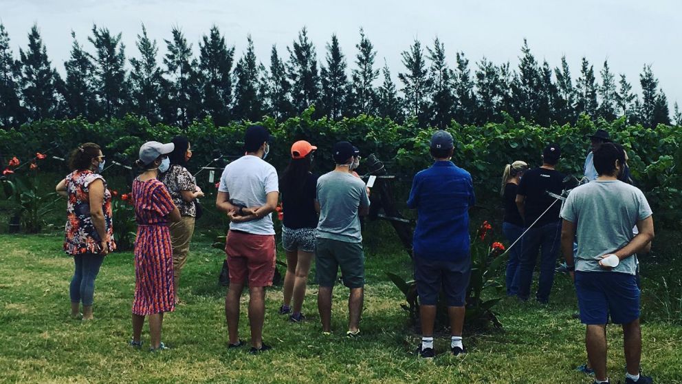 Finca Don Atilio, en Uribelarrea