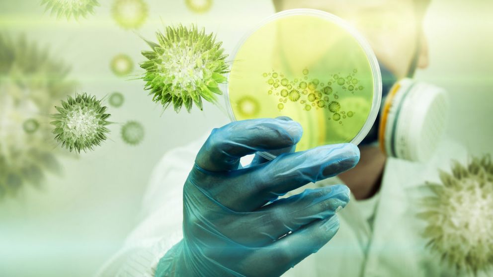 El coronavirus dejará de ser pandemia para convertirse en endemia