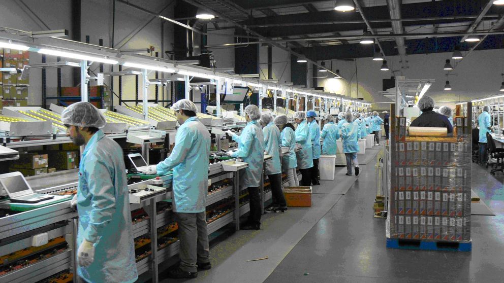 El PBI muestra una leve recuperación en enero