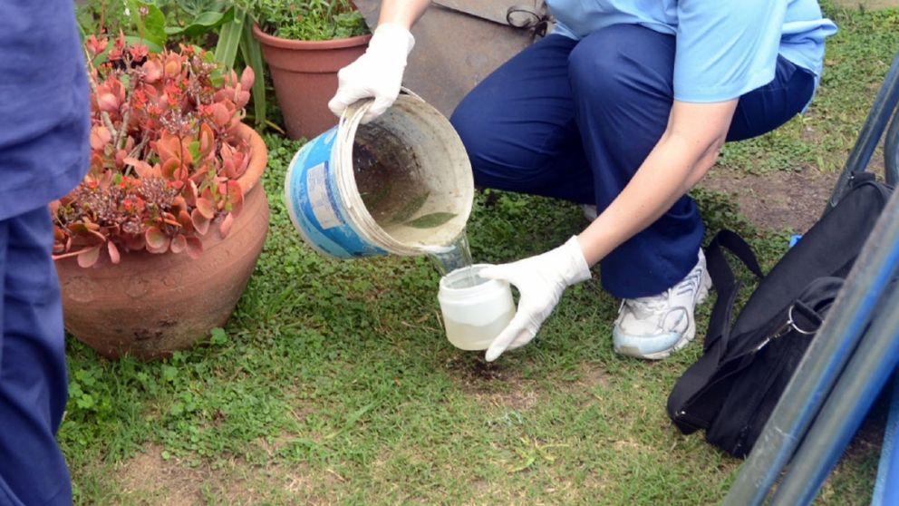 Con el coronavirus en el centro, el dengue gana espacio de preocupación
