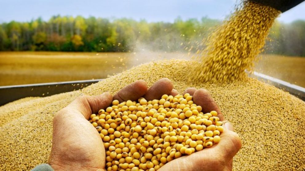 Oportunidad en el mercado de granos