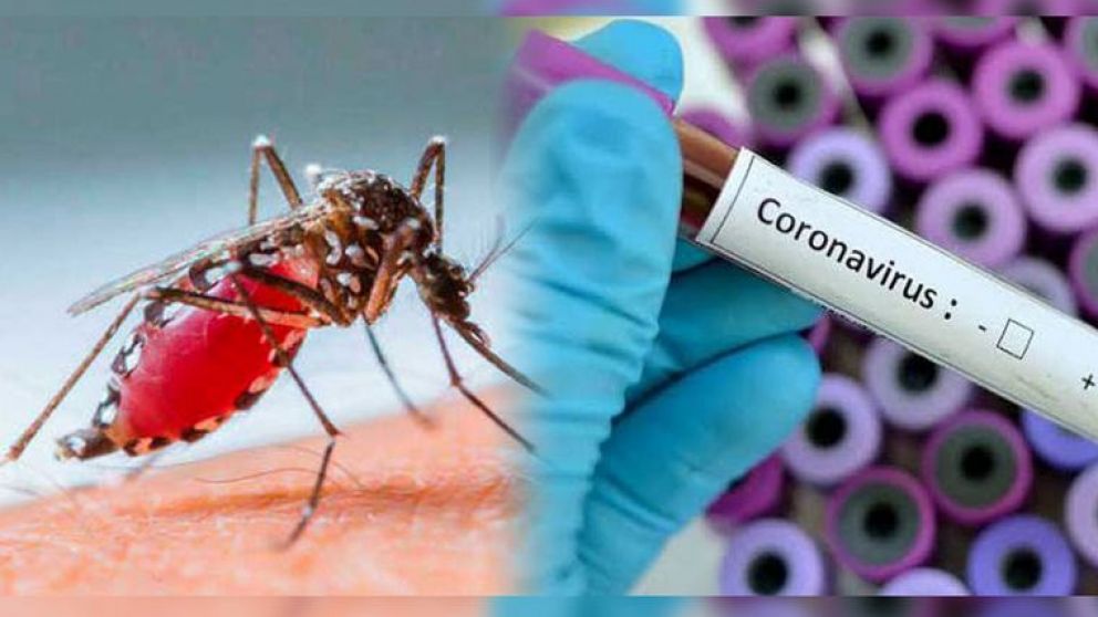 Se registro un paciente con coronavirus y dengue en la provincia de Salta