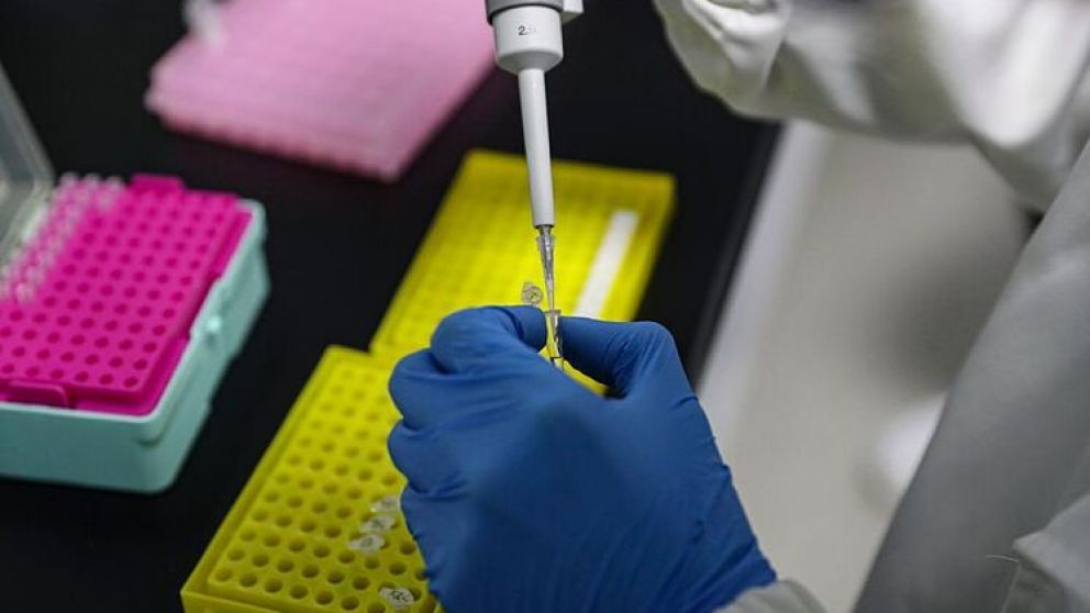 Nuevas cepas de coronavirus