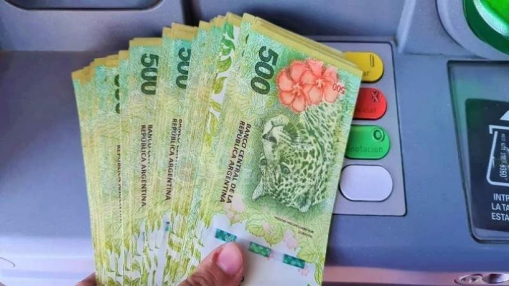 AUH Anses: Cuál es el estado de mi libreta