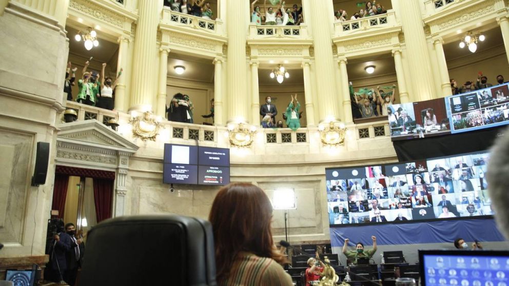 En una sesión histórica, el Senado convirtió en ley la legalización del aborto