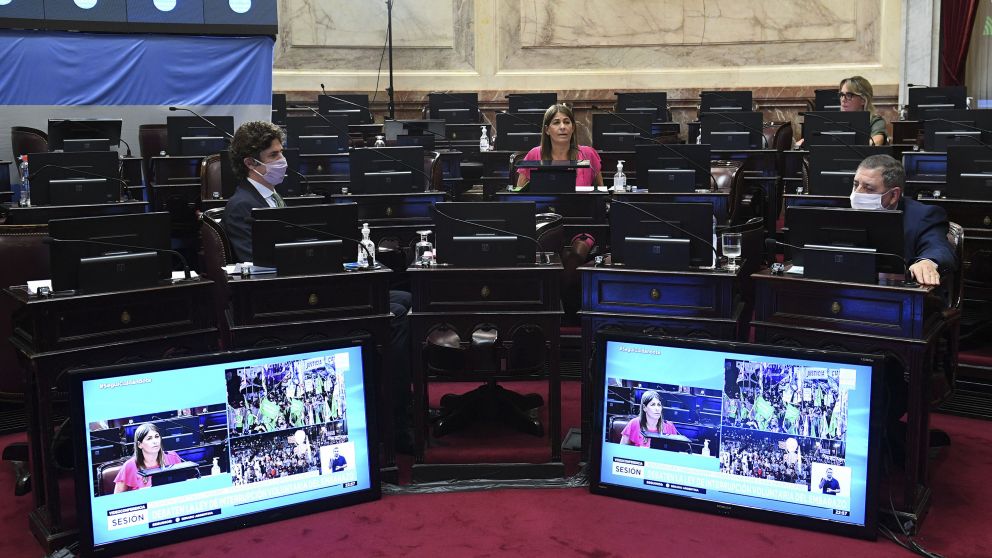 Aborto: comenzaron los discursos de cierre y se prepara la votaci�n 