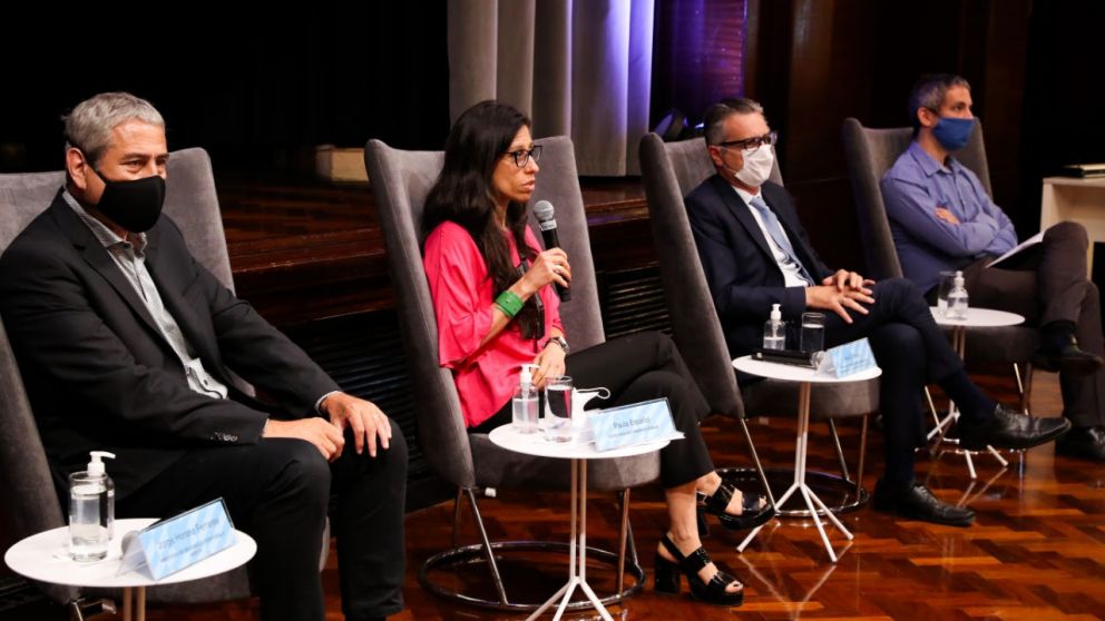 La secretaria de Comercio Interior, Paula Espa�ol, da los detalles del plan 