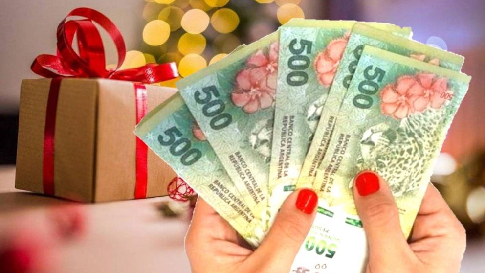 El plan Potenciar Trabajo recibir� en diciembre $19.693 en total
