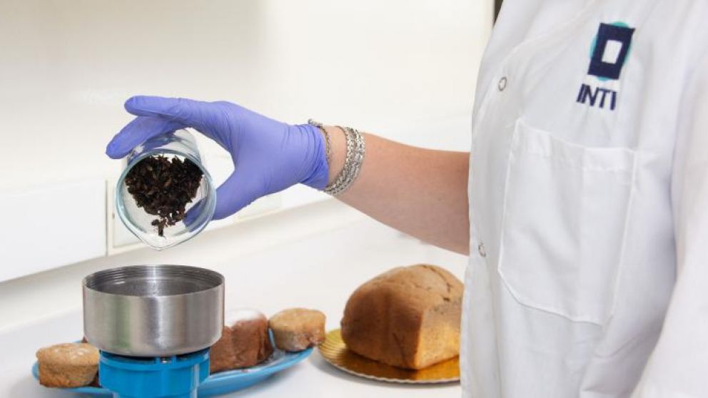La prote�na proveniente de insectos es mucho m�s barata que la carne