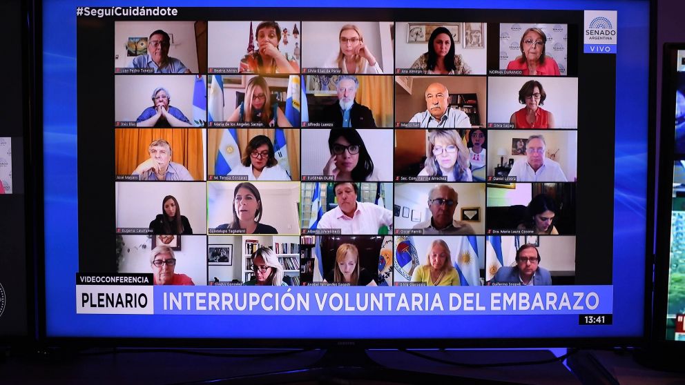 Aborto legal: los "verdes" reunieron las firmas para emitir dictamen en el Senado y se preparan para la sesi�n