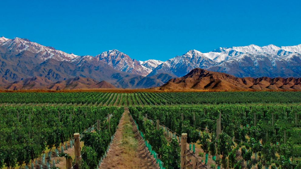 Mendoza ya permite el acceso al turismo 