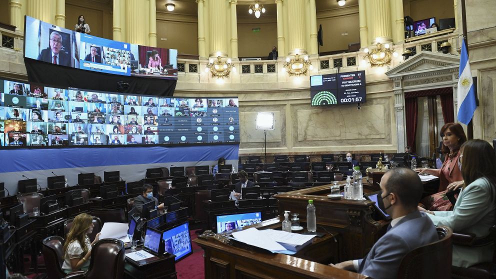 El proyecto por la legalización de aborto amenaza con naufragar en el Senado