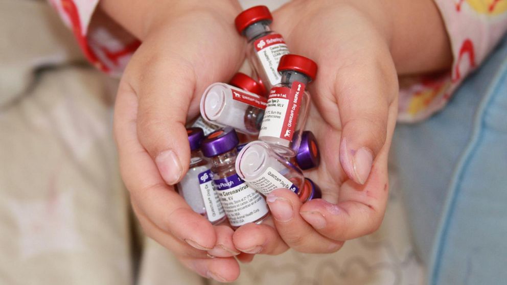 Coronavirus: ¿cuántas vacunas habrá en Argentina?