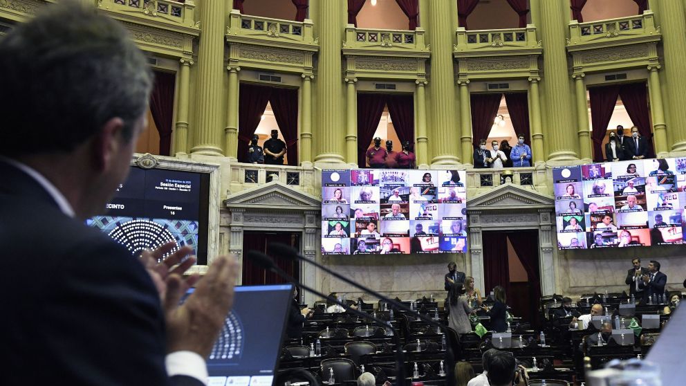 Mil días: Se aprobó el proyecto en Diputados