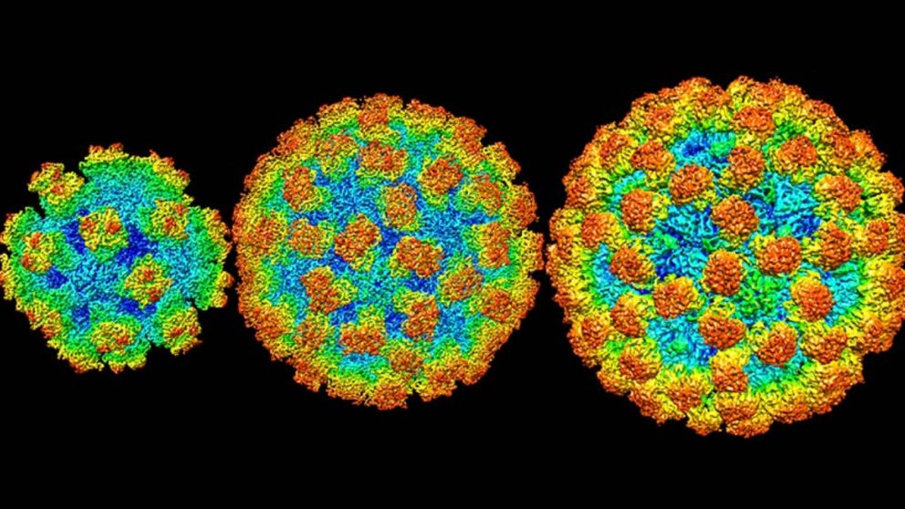 China reportó medio centenar de casos de Norovirus