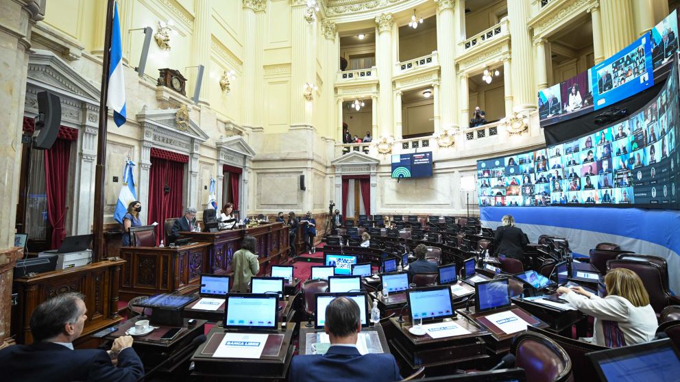 El Senado sancionó la ley en un tenso debate en el que finalmente no hubo ninguna abstención