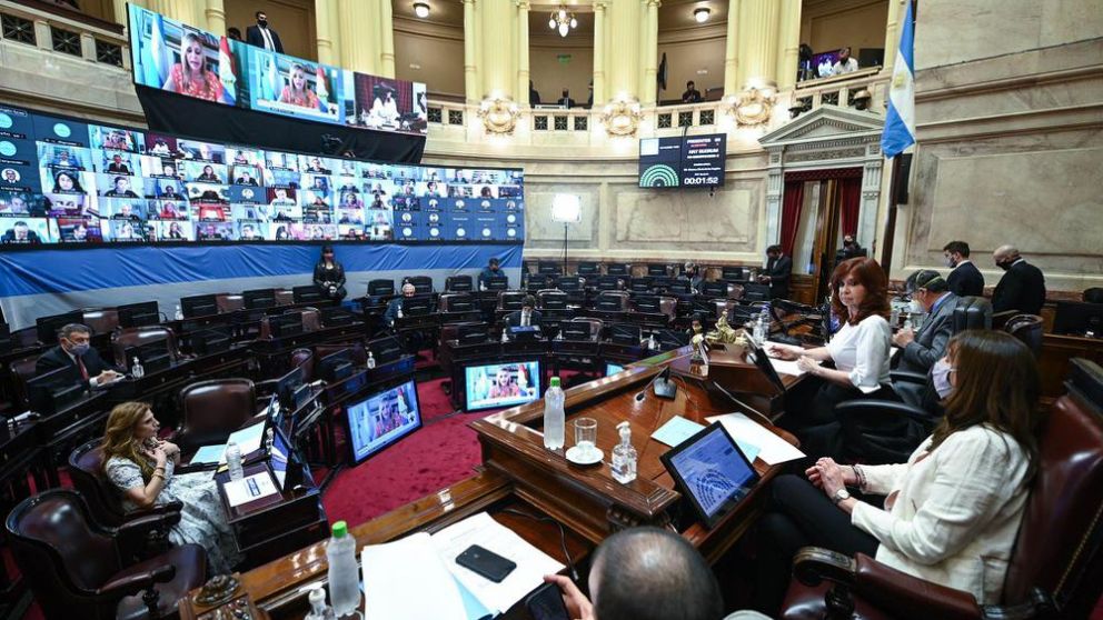 La cámara baja aprobó la ley al aporte de las grandes fortunas