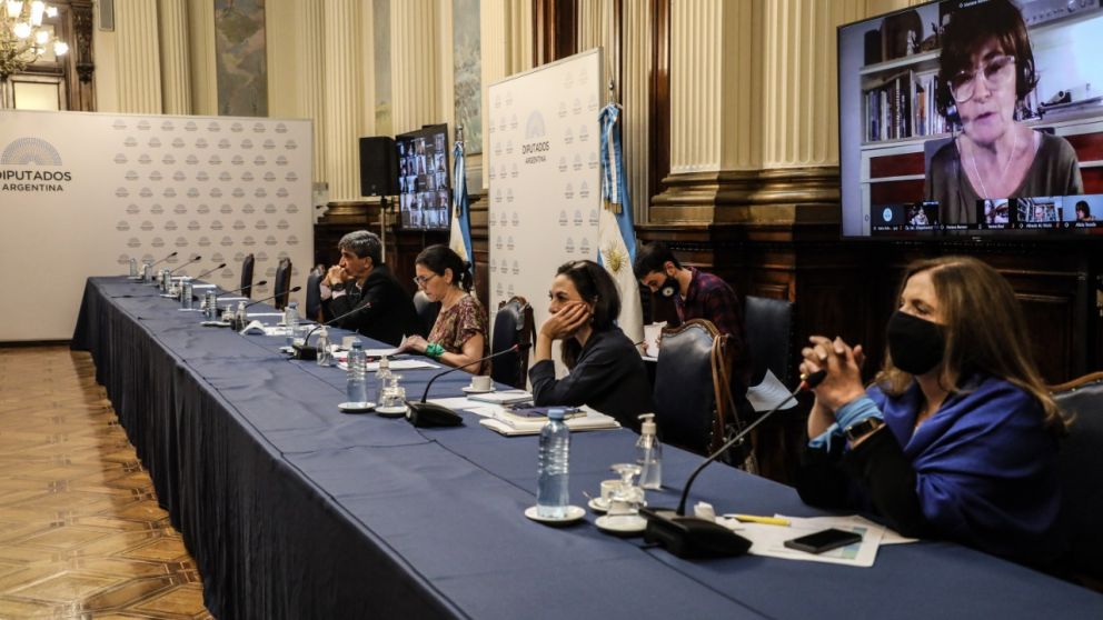 Aborto: los legisladores expusieron sus posturas en comisiones de cara a la sesión del jueves