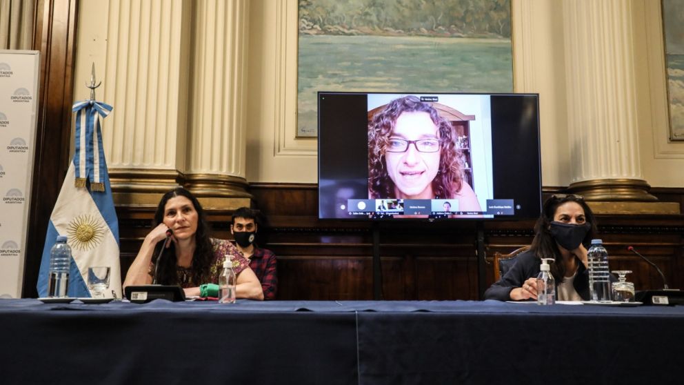 Diputados: el debate del aborto condiciona las negociaciones sobre la modalidad de las sesiones futuras