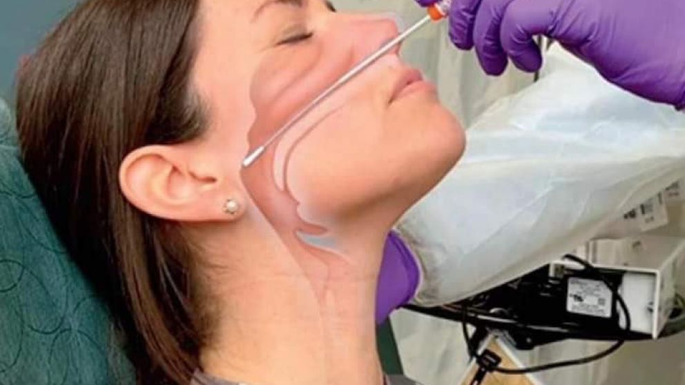 El coronavirus llega al cerebro y la nariz es la vía