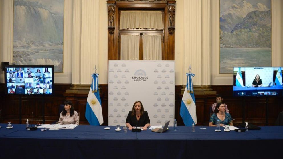 Aborto legal: el debate en Diputados arrancó con funcionarios nacionales y expositores a favor y en contra