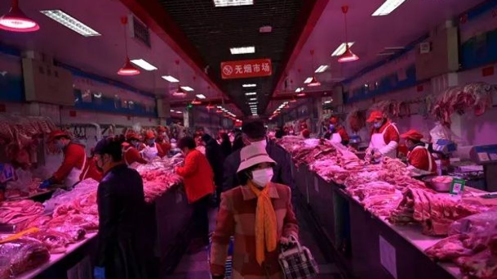 Los productos contaminados no habían llegado a la etapa de comercialización
