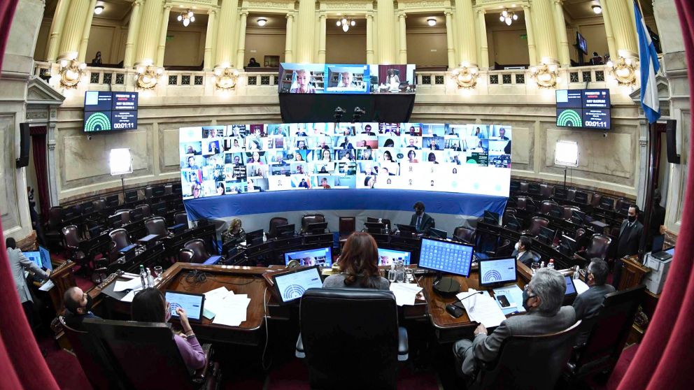 Sesion publica especial remota del Honorable Senado de la Nacion, en la que se trataron los proyectos de ley de Teletrabajo yÊ de sostenibilidad de la deuda, en Buenos Aires, Argentina; el 30 de Julio de 2020. Foto: SOFIA ARECO/ COMUNICACIiN SENADO.