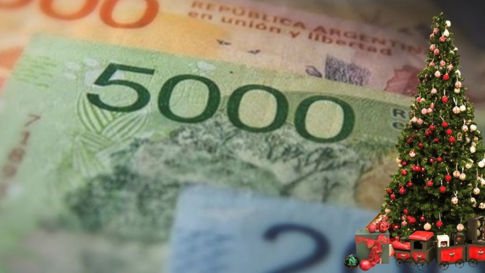 AUH, AUE y Tarjeta Alimentar: El Gobierno difinió todos los cobros de diciembre