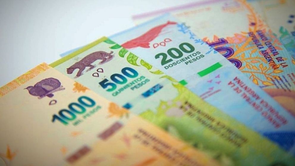 Anses oficializó el aumento del 5% para todas las prestaciones