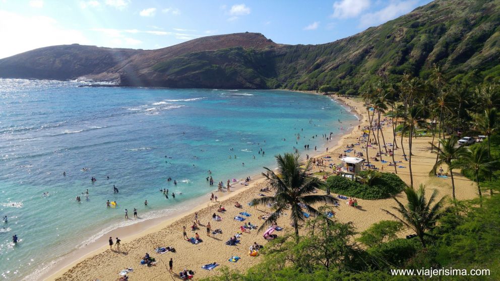 Desde las islas buscan incentivar a sus visitantes a realizar "volunturismo", turismo y actividades de voluntariado