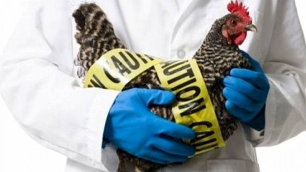 Varios países de Europa reportaron la misma situación