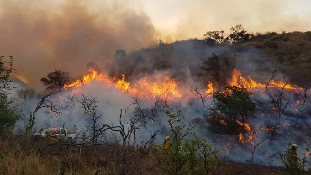 La Ley de Bosques no es sólo la deforestación, sino que trabaja con las poblaciones que viven allí y se busca generar producción sostenible de productos forestales, trabajo agrícola y acceso al agua, entre otros