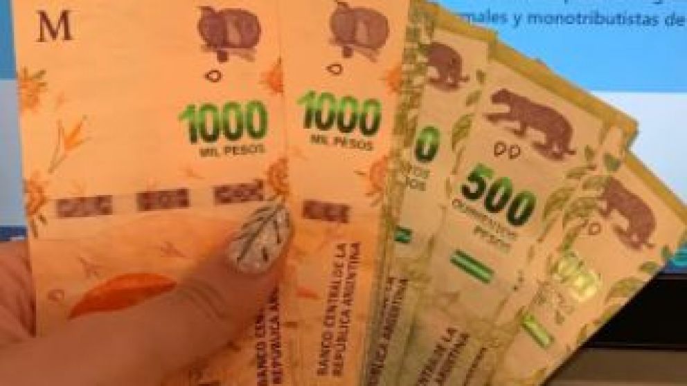 AUH, AUE, Tarjeta Alimentar, jubilados y sin IFE 4: fechas de cobro de la próxima semana