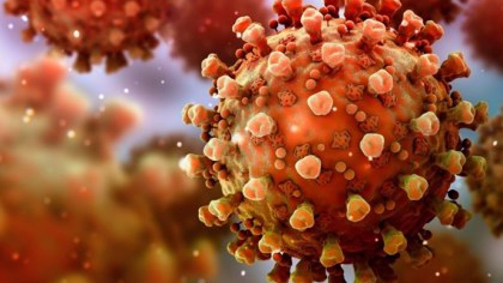 ¿Por qué muta el coronavirus?