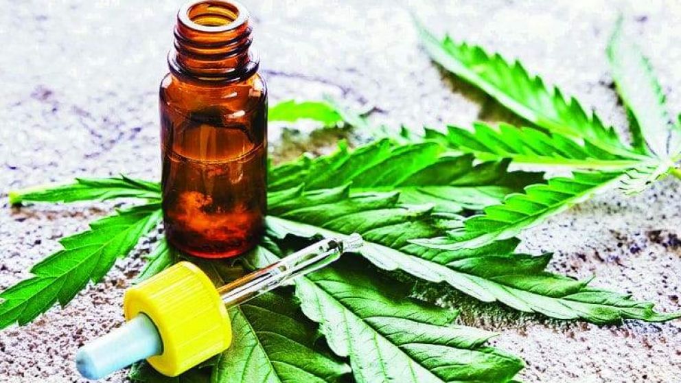 Aval a la ley de cannabis medicinal en la ciudad de Buenos Aires
