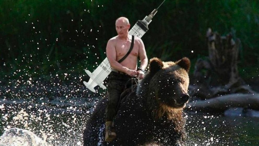 Los memes de la vacuna rusa: Putin monta un oso y ahora también trae el antídoto