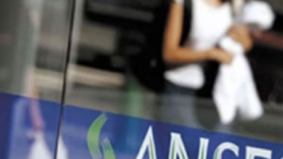 AUH de Anses: cuáles son los cambios que se introducen