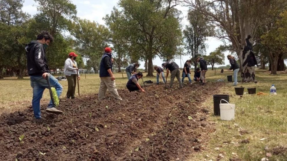 En medio del conflicto, Dolores Etchevehere aseguró que el Proyecto Artigas "está en marcha".