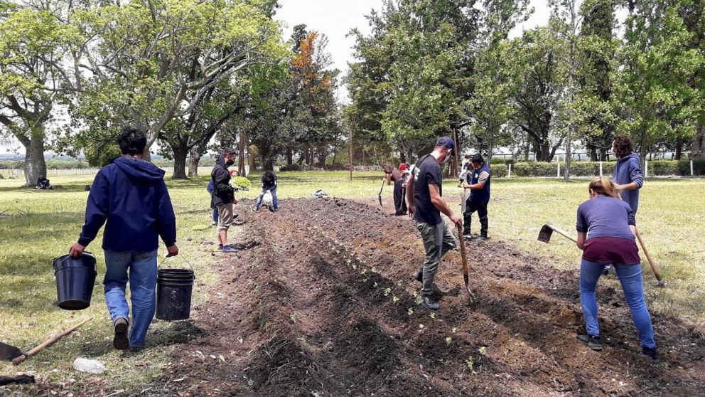 Proyecto Artigas intenta llevar adelante un modelo agrario sostenible