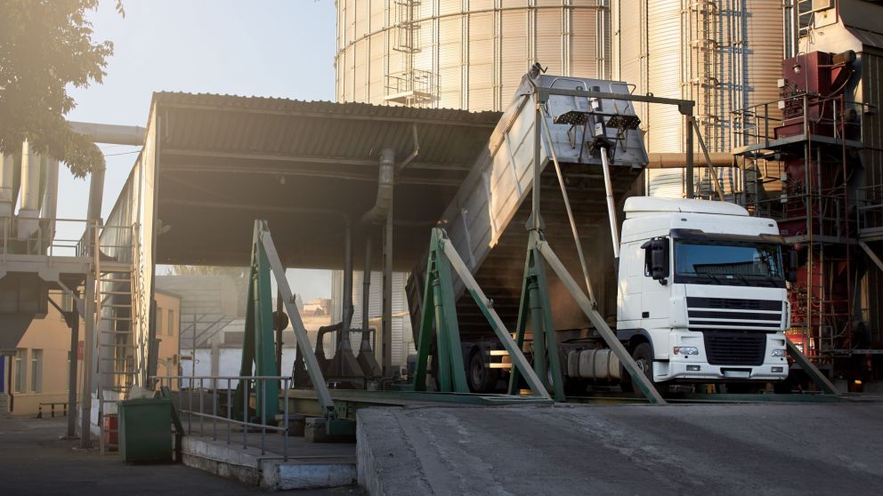 La app ya otorgó 150.000 turnos de descarga