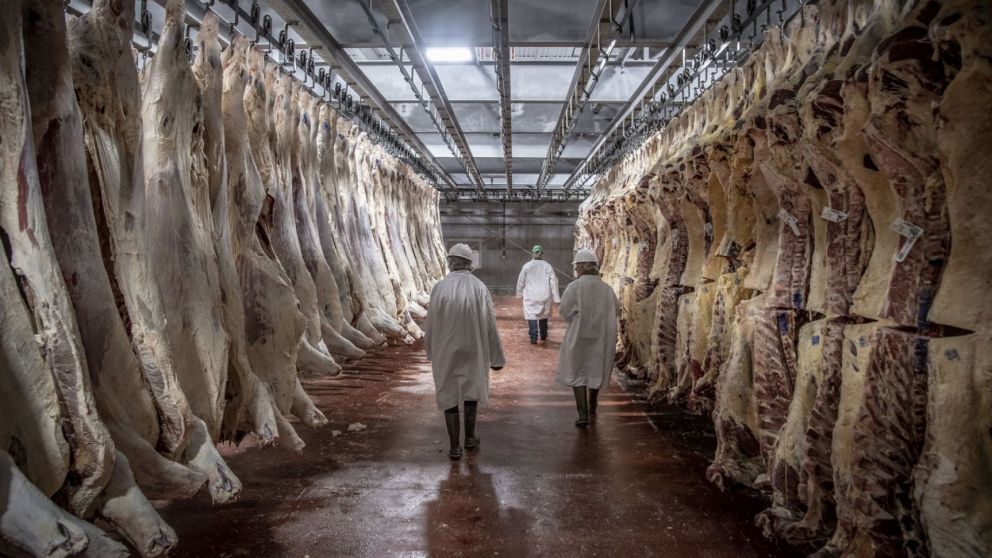 Impulsan la producción sustentable de carne argentina