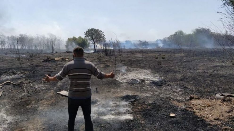 Los incendios afectaron a unas 300 mil hect�reas de la provincia
