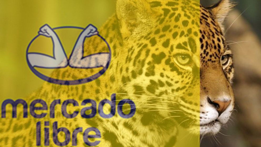 El yaguareté se encuentra en peligro de extinción en el país