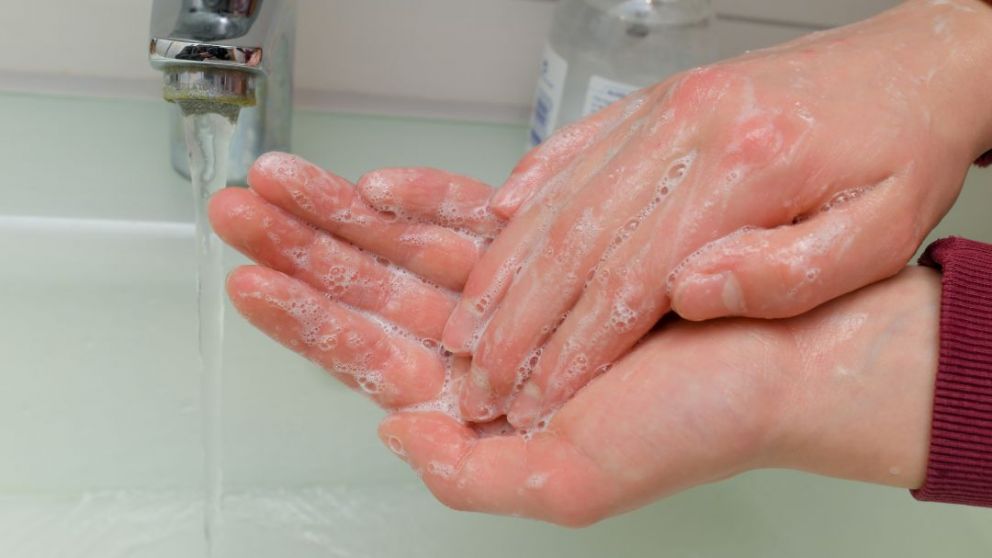 El coronavirus puede permanecer activo en la piel: ¿por cuánto tiempo?